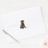 Chocolade Labrador Retriever Puppy Vierkante Sticker (Envelop)