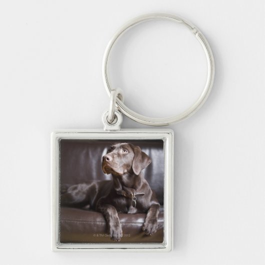 Chocolade Labrador Retriever Sleutelhanger (Voorkant)