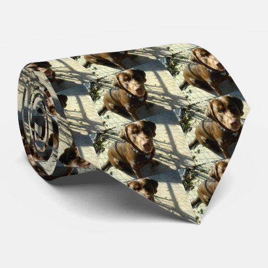 Chocolade Labrador Retriever Stropdas (Opgerold)