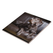 Chocolade Labrador Retriever Tegeltje (Zijkant)