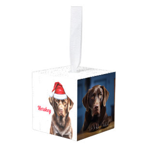 Chocolade Labrador Santa Dog Twee Foto Kerstmis Decoratie