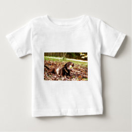 Chocolade Labrador Speelt Met Bal