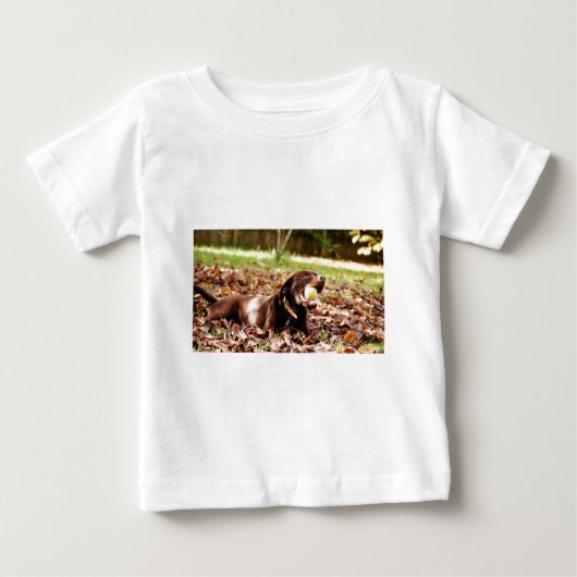 Chocolade Labrador Speelt Met Bal (Voorkant)