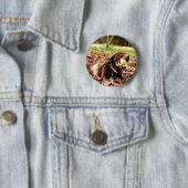 Chocolade Labrador Speelt Met Bal Ronde Button 5,7 Cm (In situ)