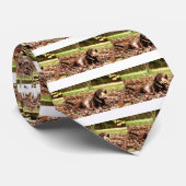 Chocolade Labrador Speelt Met Bal Stropdas (Opgerold)