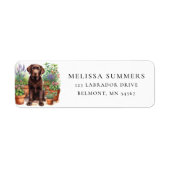 Chocolade Labrador Tuin Retouradreslabel Etiket (Voorkant)