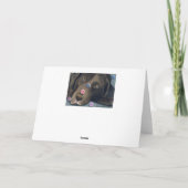 Chocolade Labrador Valentijnkaart Kaart (Achterkant)