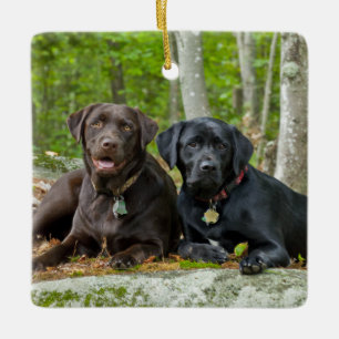 Chocolade Labrador van het Laboratorium van het Keramisch Ornament