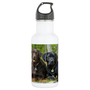 Chocolade Labrador van het Laboratorium van het Waterfles
