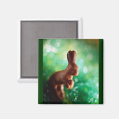 Chocolade Paashaas Magneet (Voorkant / Achterkant)