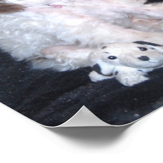 Chocolade Parti Podle met speelgoed Poster (Hoek)