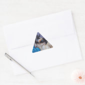 Chocolade Point Siamese Cat Sticker (Envelop)