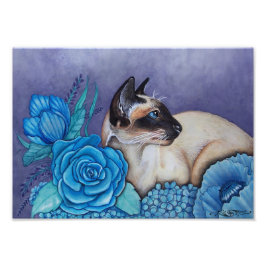 Chocolade Point Siamese Foto Afdruk