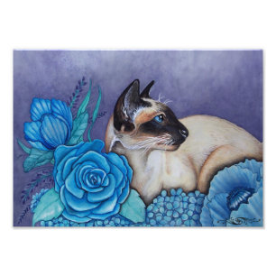 Chocolade Point Siamese Foto Afdruk