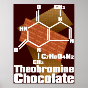 Chocolade Poster