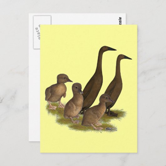 Chocolade Runner Duck Family Briefkaart (Voorkant / Achterkant)
