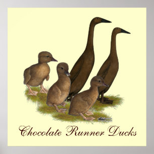 Chocolade Runner Duck Family Poster