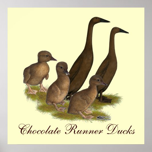 Chocolade Runner Duck Family Poster (Voorkant)