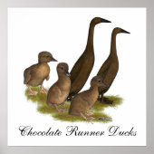 Chocolade Runner Duck Family Poster (Voorkant)