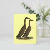 Chocolade Runner Ducks Briefkaart (Staand voorkant)