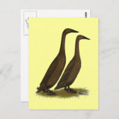 Chocolade Runner Ducks Briefkaart (Voorkant / Achterkant)