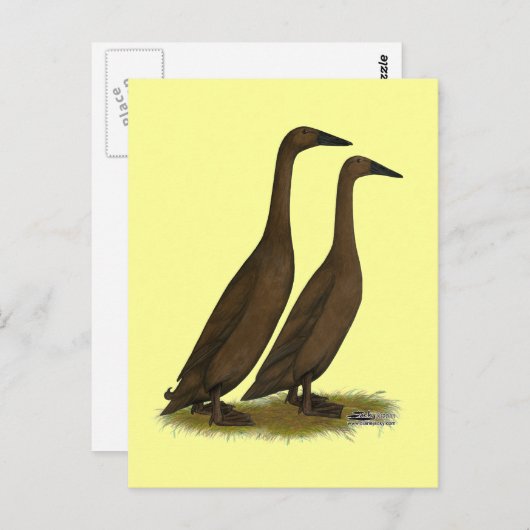 Chocolade Runner Ducks Briefkaart (Voorkant / Achterkant)