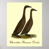 Chocolade Runner Ducks Poster (Voorkant)
