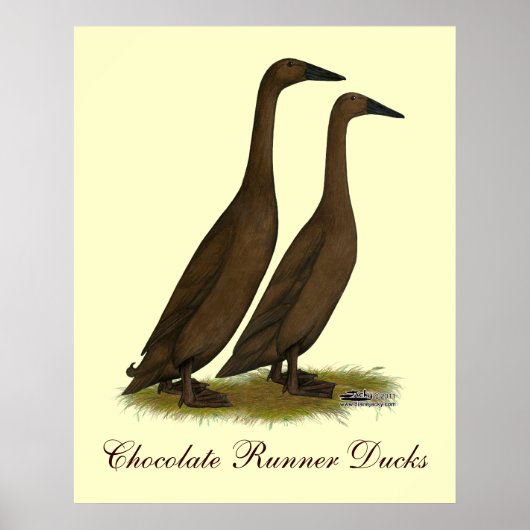 Chocolade Runner Ducks Poster (Voorkant)