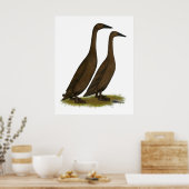 Chocolade Runner Ducks Poster (Keuken)