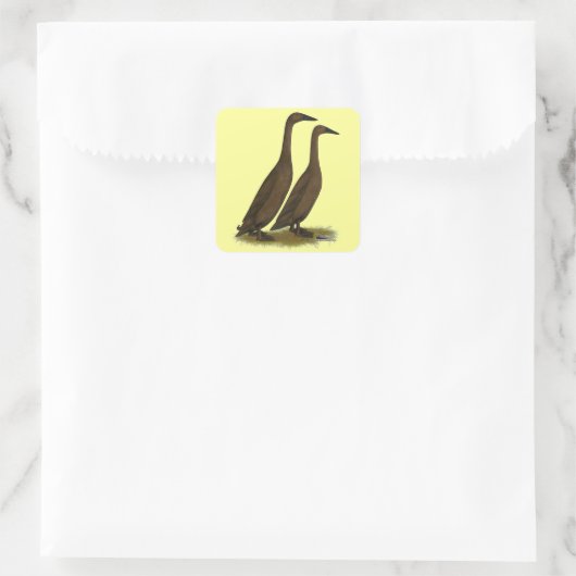 Chocolade Runner Ducks Vierkante Sticker (Tas)