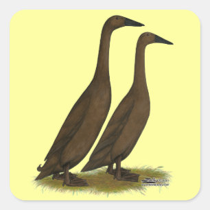 Chocolade Runner Ducks Vierkante Sticker