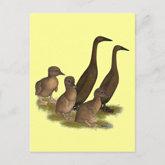 Chocolade Runner Eend Familie Briefkaart (Voorkant)