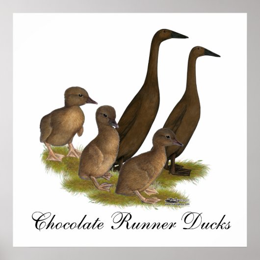 Chocolade Runner Eend Familie Poster (Voorkant)