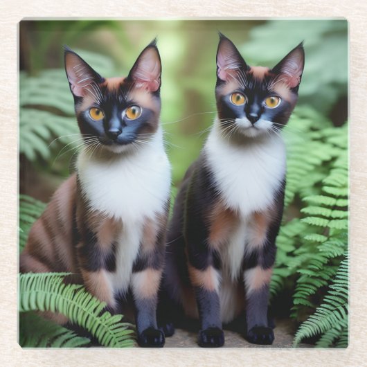 Chocolade Siamese Cat Twins, Onderzetter (Voorkant)