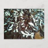 Chocolade Sprinkles Briefkaart (Voorkant)