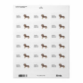 Chocolade & Tan Dapple Kortharige Dachshund & Teks Etiket (Full Sheet)