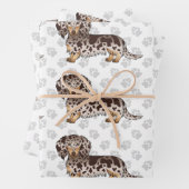 Chocolade & Tan Dapple Long Hair Dachshund & Paws Inpakpapier Vel (In situ)