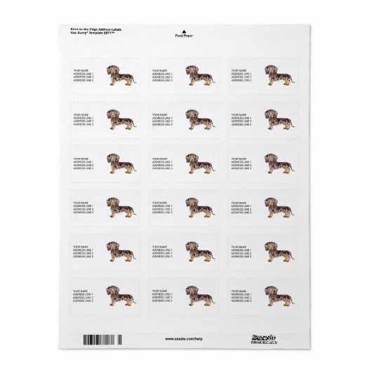 Chocolade & Tan Dapple Short Hair Dachshund & Text Etiket (Full Sheet)