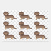 Chocolade & Tan Long Hair Dachshund Pattern & Paws Inpakpapier Vel (Voorkant 2)