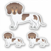 Chocolade & Tan Pied Kortharige Dachshund Mopshond Sticker (Voorkant)
