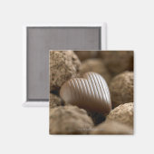 chocolade uit andere chocolade magneet (Voorkant / Achterkant)