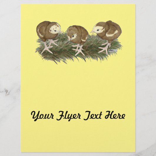 Chocolade van Turkije Flyer (Voorkant)