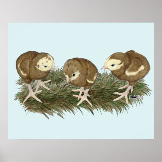 Chocolade van Turkije Poster (Voorkant)