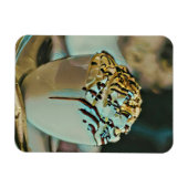 chocolade voor consumptie-ijs magneet (Horizontaal)