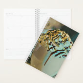 chocolade voor consumptie-ijs planner (Display)