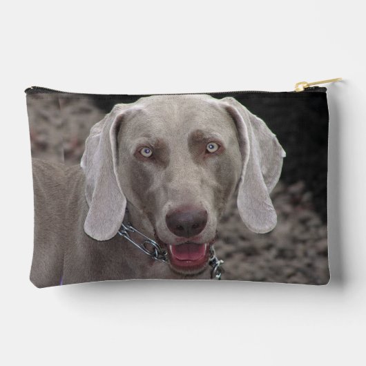 Chocolade Weimaraner Etui (Achterkant)