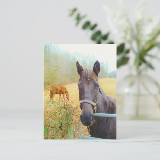 Chocoladebruin paard briefkaart (Staand voorkant)