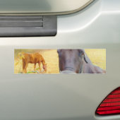 Chocoladebruin paard bumpersticker (Op auto)