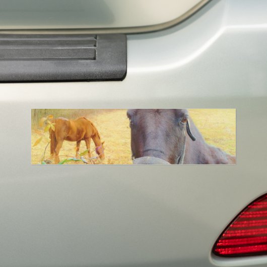 Chocoladebruin paard bumpersticker (Op auto)