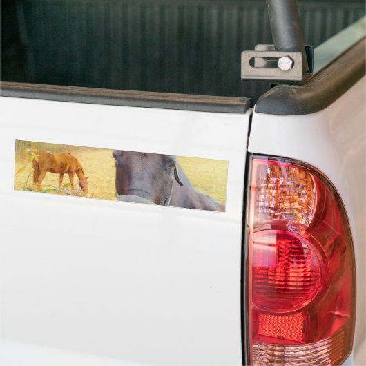 Chocoladebruin paard bumpersticker (Op Truck)